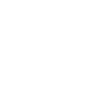 Access Icon